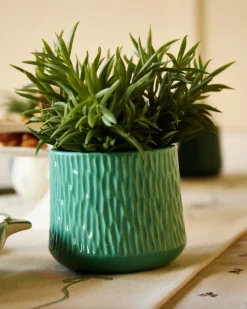 Clearance Dunnes Stores Carolyn Donnelly Eclectic Plant In Patterned Pot