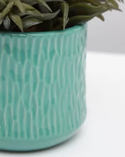 Clearance Dunnes Stores Carolyn Donnelly Eclectic Plant In Patterned Pot