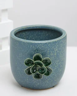 Fashion Dunnes Stores Carolyn Donnelly Eclectic 3D Flower Pot