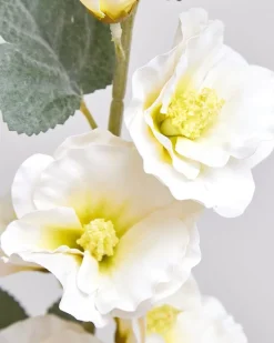 Clearance Dunnes Stores Cotton Rose Stem