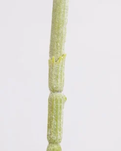 Clearance Dunnes Stores Cotton Rose Stem