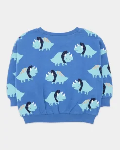 Online Dunnes Stores Crew Neck Sweatshirt (6 Months-5 Years)