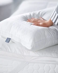 Hot Dunnes Stores Francis Brennan the Collection Luxury Pillow