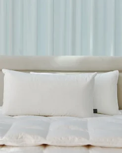 Outlet Dunnes Stores Francis Brennan the Collection King Pillow