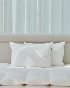Clearance Dunnes Stores Francis Brennan the Collection Luxury Microfibre and Silk Fill Pillow