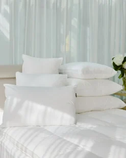 Online Dunnes Stores Francis Brennan the Collection Euro Square Pillow