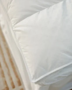 Outlet Dunnes Stores Francis Brennan the Collection Duck Down and Feather Mattress Topper