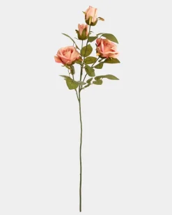 Clearance Dunnes Stores Multi Rose Stem