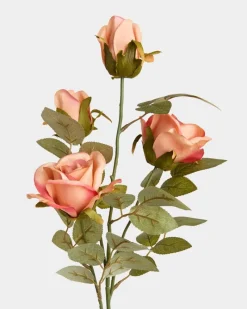 Clearance Dunnes Stores Multi Rose Stem