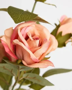 Clearance Dunnes Stores Multi Rose Stem