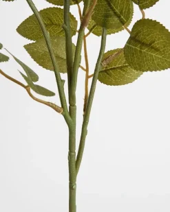 Clearance Dunnes Stores Multi Rose Stem