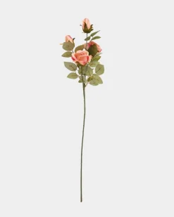 Clearance Dunnes Stores Multi Rose Stem