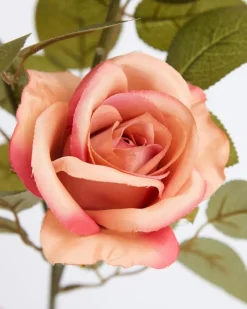 Clearance Dunnes Stores Multi Rose Stem