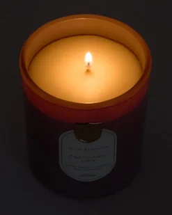 Outlet Dunnes Stores Paul Costelloe Living Costelloe Candle