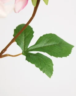 Clearance Dunnes Stores Paul Costelloe Living Dahlia Stem