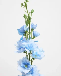 Outlet Dunnes Stores Paul Costelloe Living Delphinium Stem