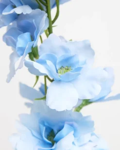 Outlet Dunnes Stores Paul Costelloe Living Delphinium Stem