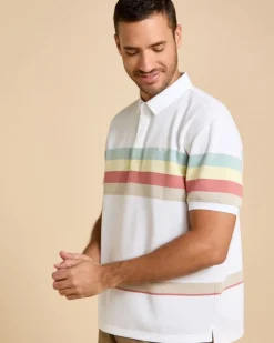 Sale Dunnes Stores Paul Costelloe Living Men Stripe Pique Polo Shirt