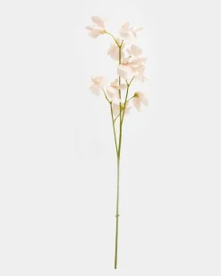 Fashion Dunnes Stores Paul Costelloe Living Pea Blossom Stem