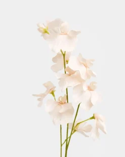 Fashion Dunnes Stores Paul Costelloe Living Pea Blossom Stem