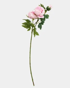 Fashion Dunnes Stores Paul Costelloe Living Peony Duo Stem