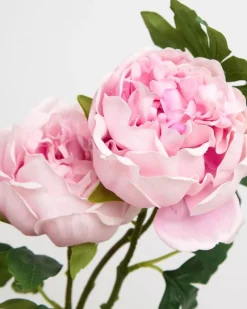 Fashion Dunnes Stores Paul Costelloe Living Peony Duo Stem