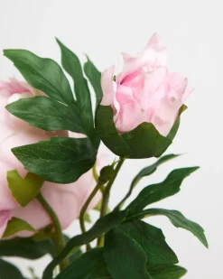 Fashion Dunnes Stores Paul Costelloe Living Peony Duo Stem