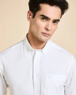 Online Dunnes Stores Paul Costelloe Living Regular Fit Stretch Oxford Shirt