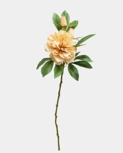 Clearance Dunnes Stores Peony Spray