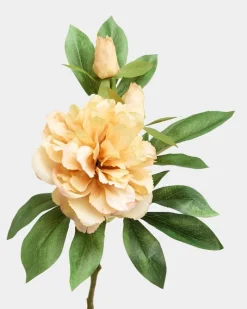 Clearance Dunnes Stores Peony Spray