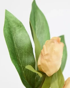Clearance Dunnes Stores Peony Spray