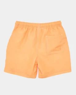 Fashion Dunnes Stores Plain Swim Shorts (2-14 Years)