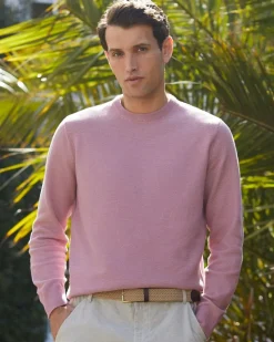 Discount Dunnes Stores Regular Fit Cotton Crew Neck Jumper