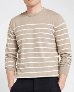 Best Dunnes Stores Regular Fit Cotton Crew Neck Jumper