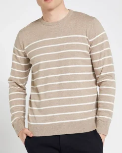 Best Dunnes Stores Regular Fit Cotton Crew Neck Jumper
