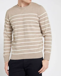 Best Dunnes Stores Regular Fit Cotton Crew Neck Jumper