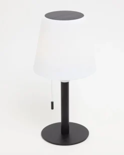 Clearance Dunnes Stores Solar LED Table Lamp