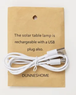 Clearance Dunnes Stores Solar LED Table Lamp