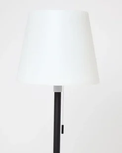 Discount Dunnes Stores Standing Solar Lamp