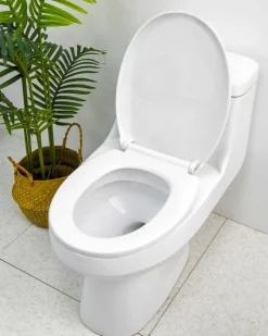 Best Dunnes Stores Toilet Seat